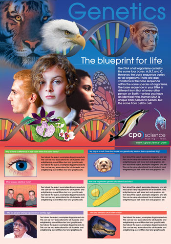 Genetics Life Science Poster