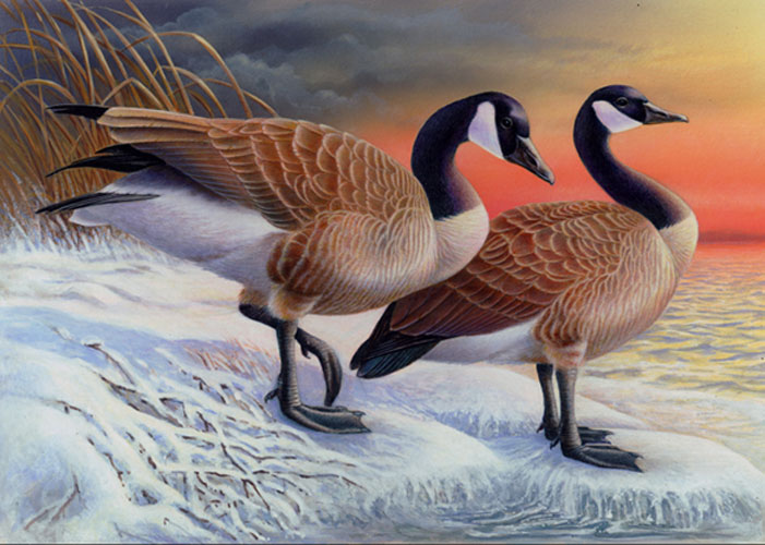 Geese Painting