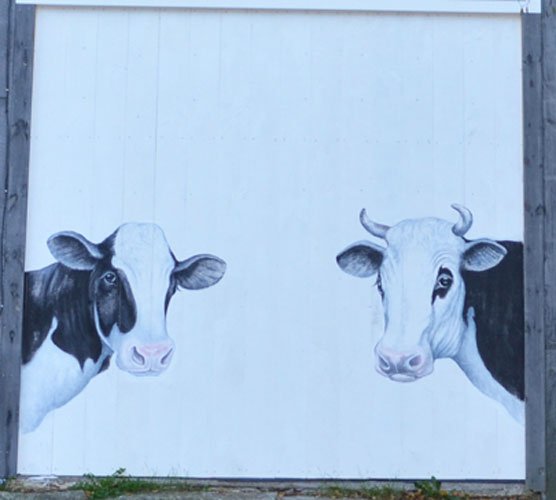 Cows Mural Painting