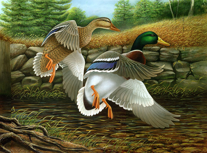 Ducks Stamp Painting