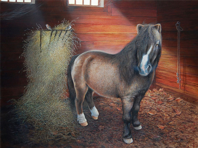 Pony in Stall Painting